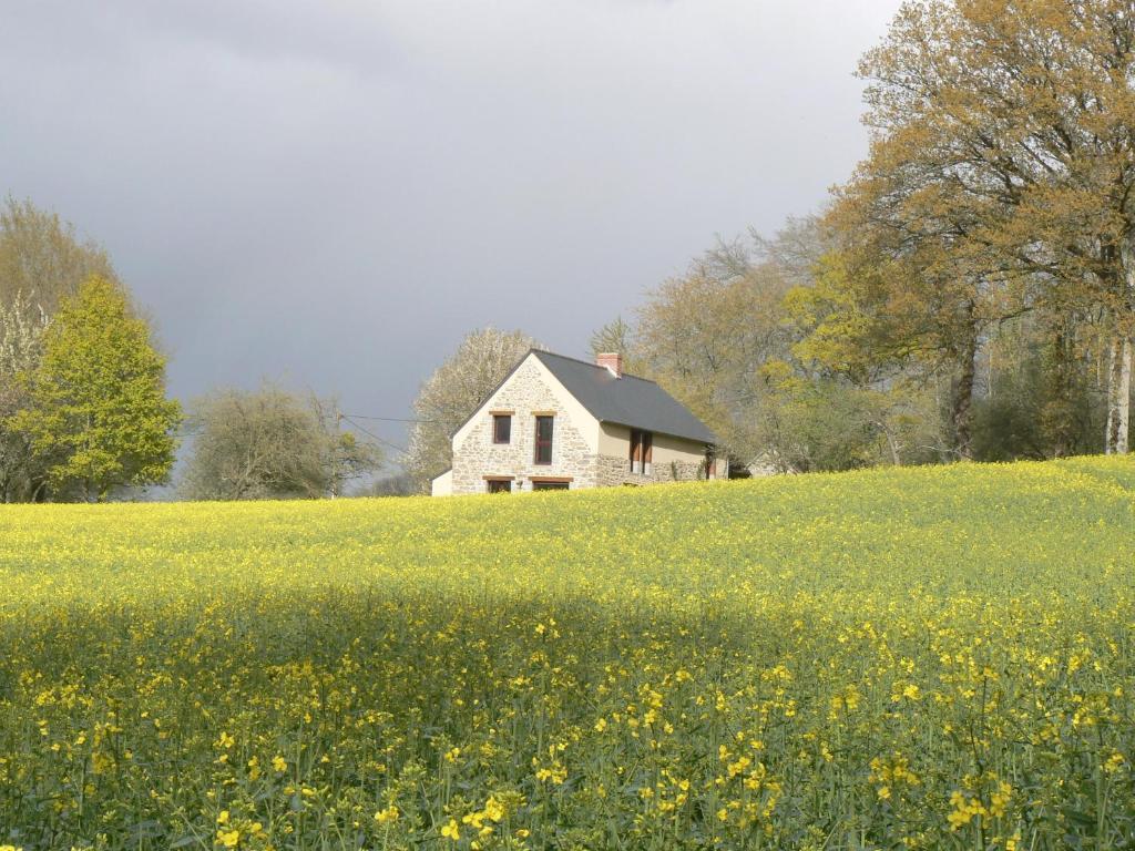Chambres D'Hotes Du Vault Picot La Chapelle-aux-Filtzmeens ภายนอก รูปภาพ